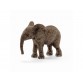 Afrikanischer Elefant - Kalb